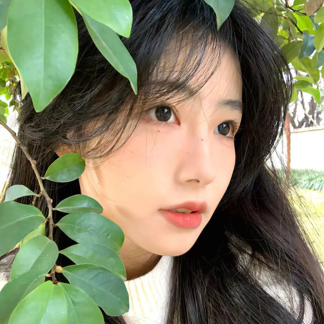 阳光普照2019
